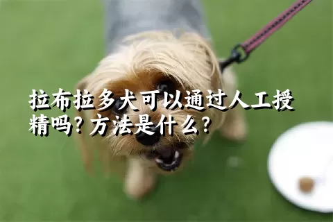 拉布拉多犬可以通过人工授精吗？方法是什么？