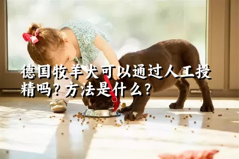 德国牧羊犬可以通过人工授精吗？方法是什么？
