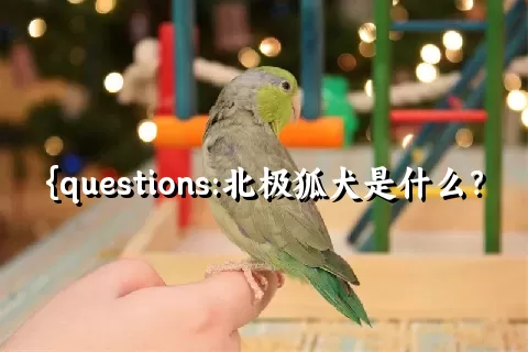 北极狐犬是什么？