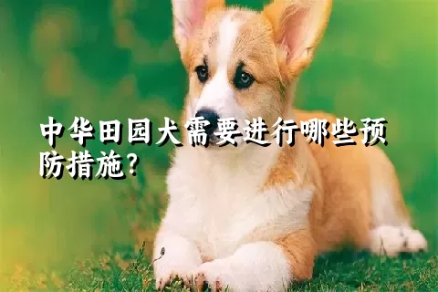 中华田园犬需要进行哪些预防措施？