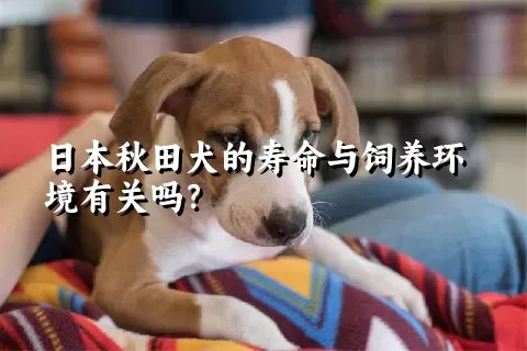 日本秋田犬的寿命与饲养环境有关吗？