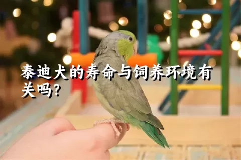 泰迪犬的寿命与饲养环境有关吗？