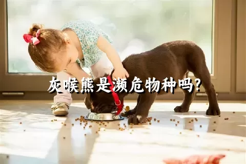 灰喉熊是濒危物种吗?