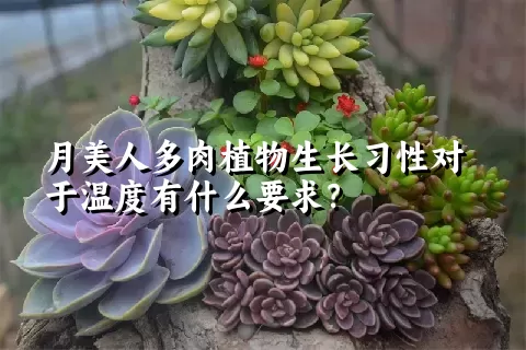 月美人多肉植物生长习性对于温度有什么要求？