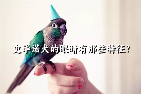 史毕诺犬的眼睛有那些特征？