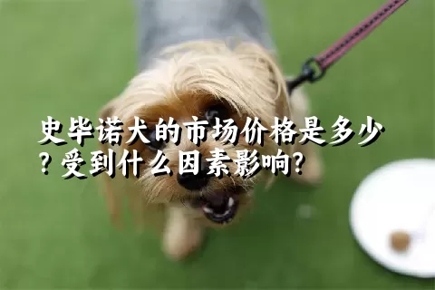 史毕诺犬的市场价格是多少？受到什么因素影响？