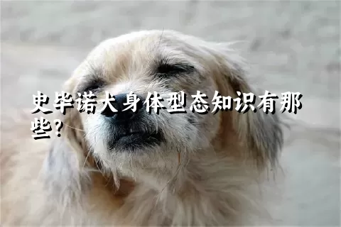 史毕诺犬身体型态知识有那些？